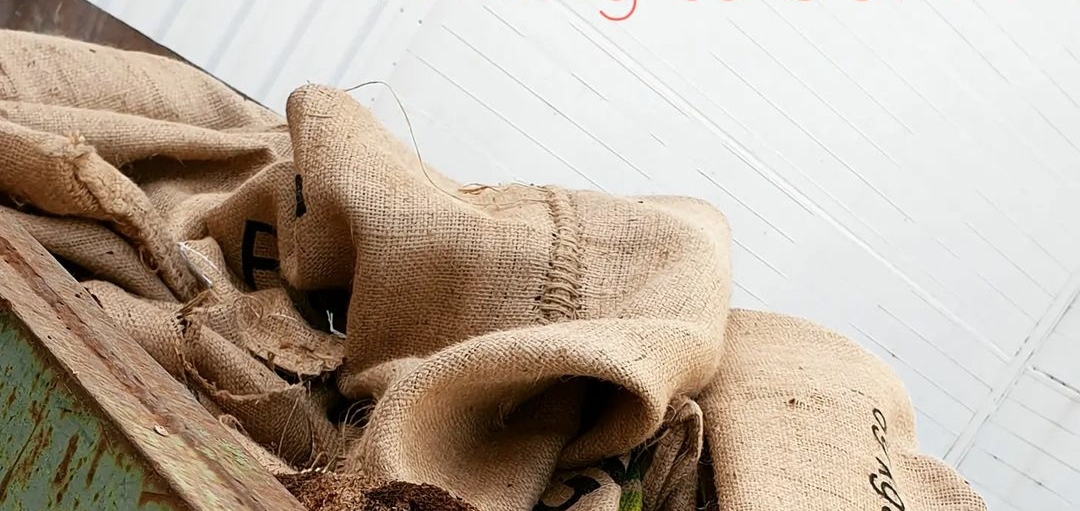 Collection and sorting of jute used coffee bags